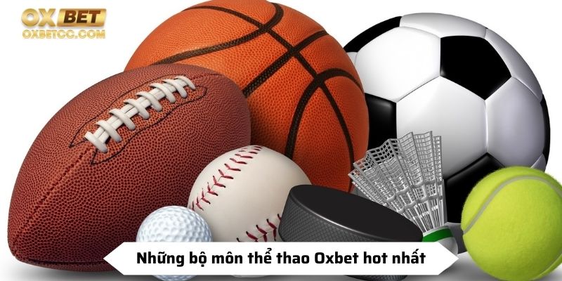 Những bộ môn thể thao Oxbet hot nhất